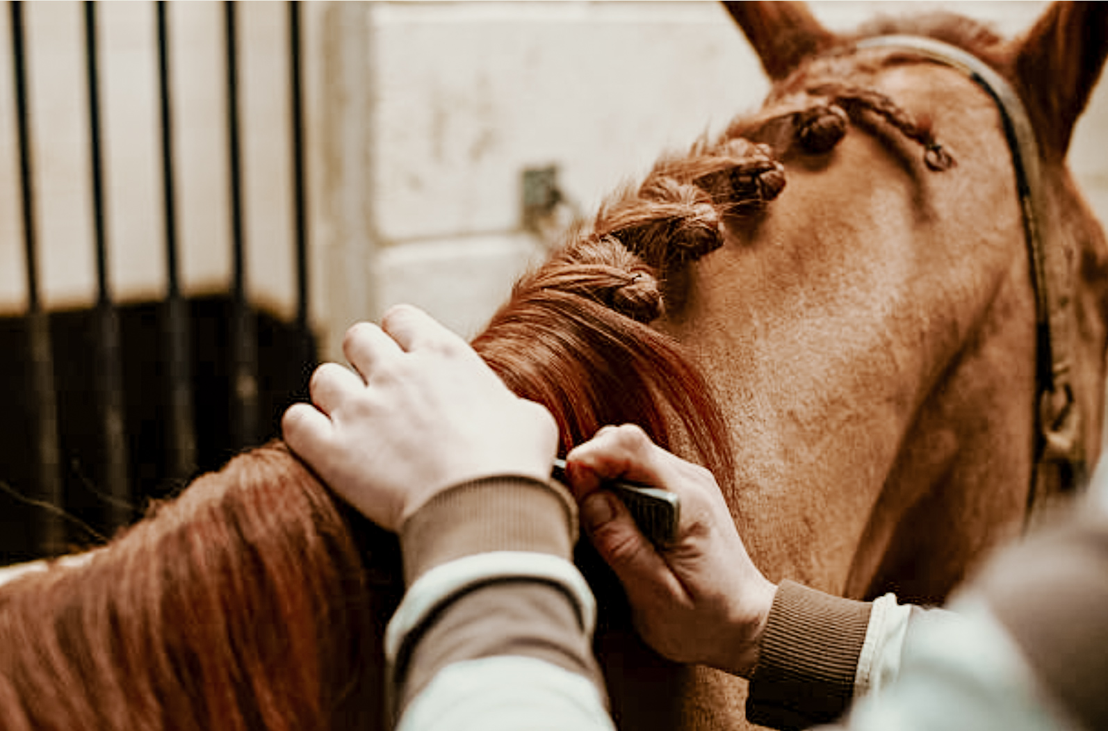 how to plait horse mane
