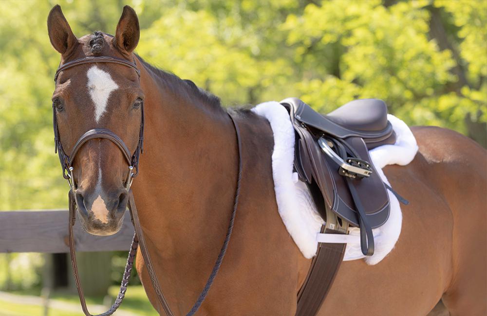 what is a jumping saddle