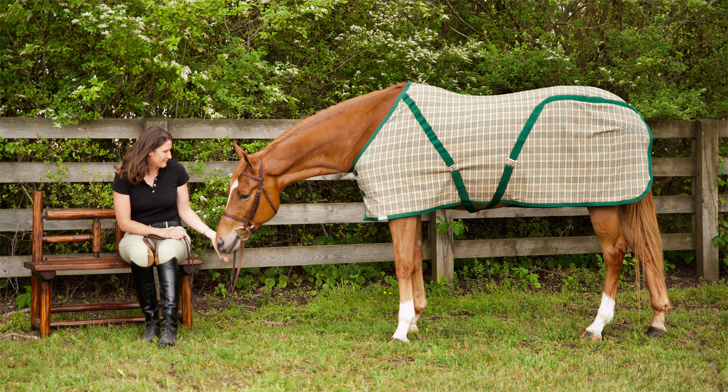 how to wash a horse blanket