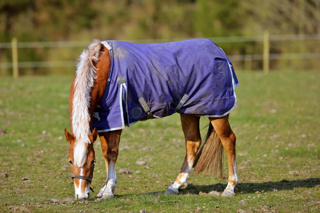 what is a horse cooler blanket used for