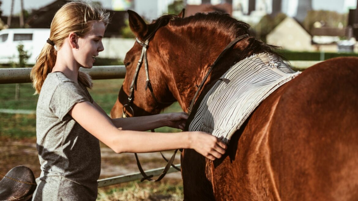 how to clean saddle pads