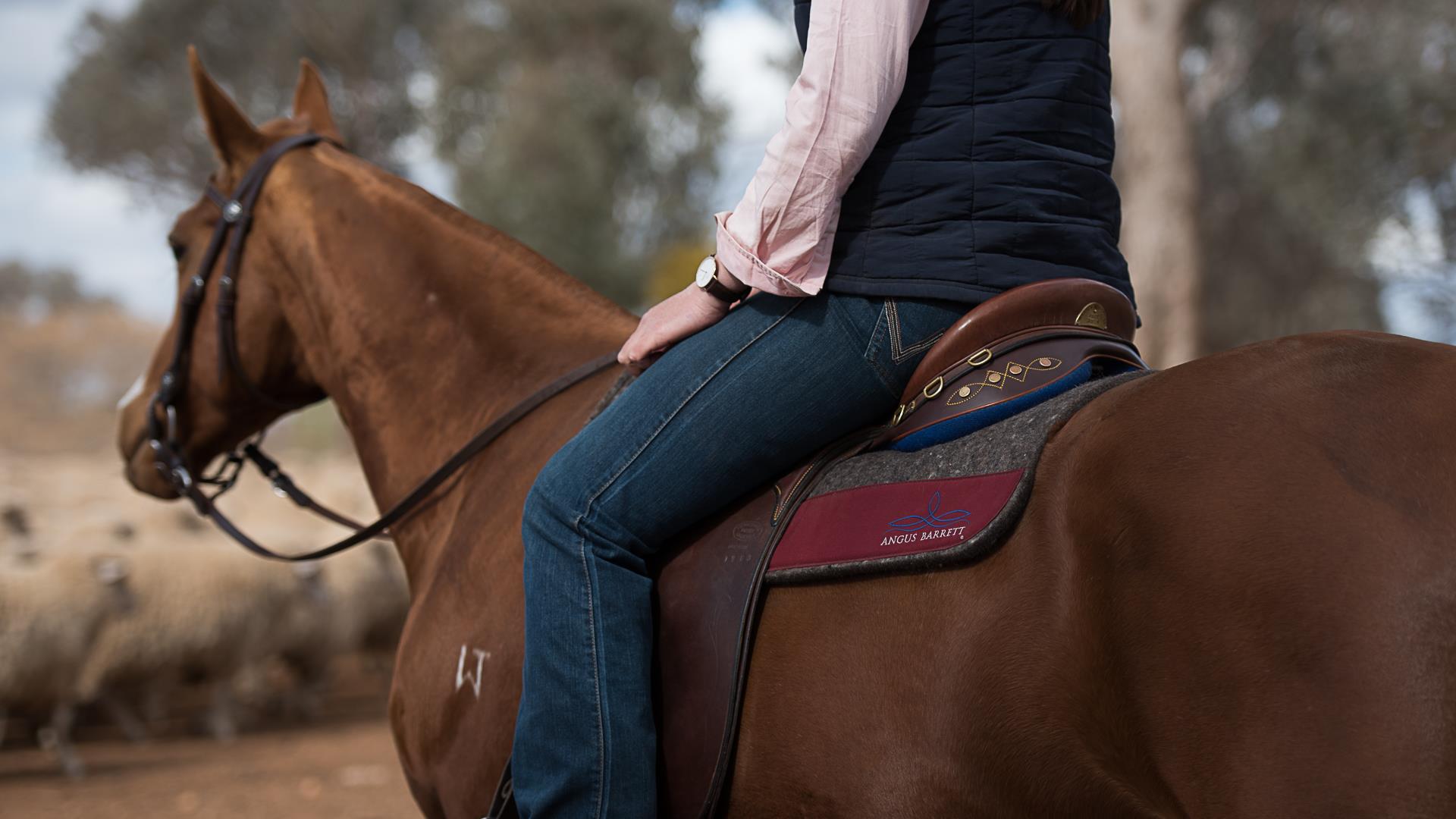 how to store saddle pads