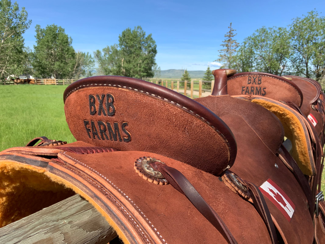 how to measure a saddle
