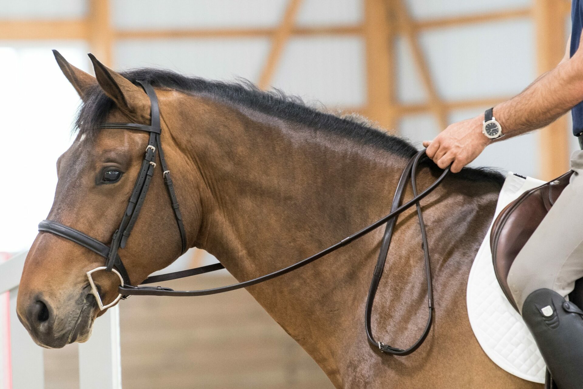 how to hold horse reins with one hand
