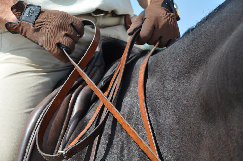 how do horse reins work