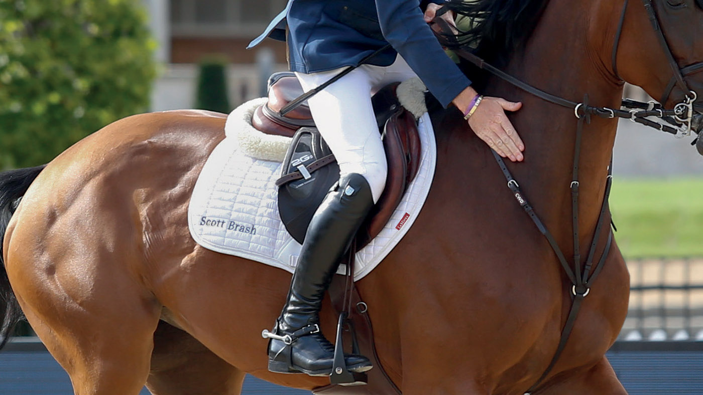 what size saddle do i need
