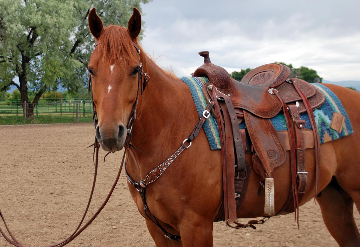 how to craft a saddle