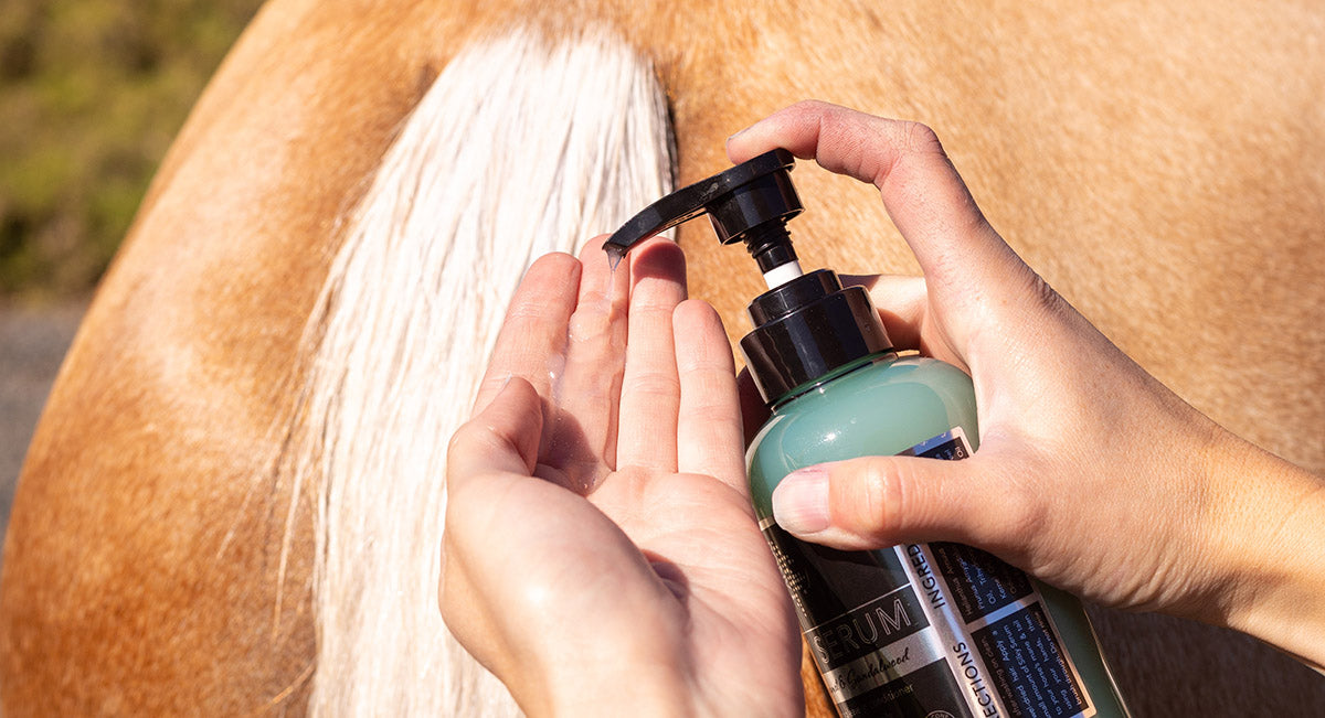How to treat horse dandruff with shampoo for optimal results?