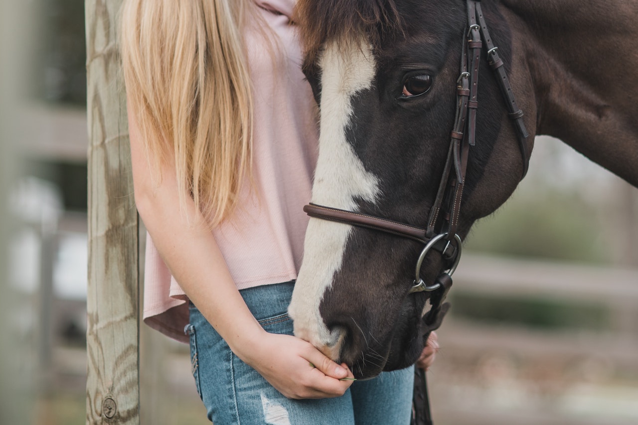 Horse shampoo for fungal infections