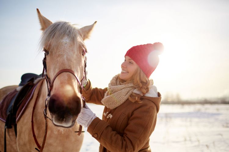 How to dilute horse shampoo correctly