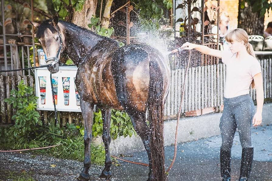 How to treat horse dandruff with shampoo