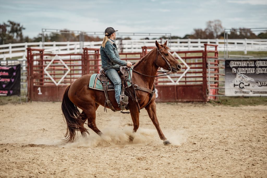 basic horse commands