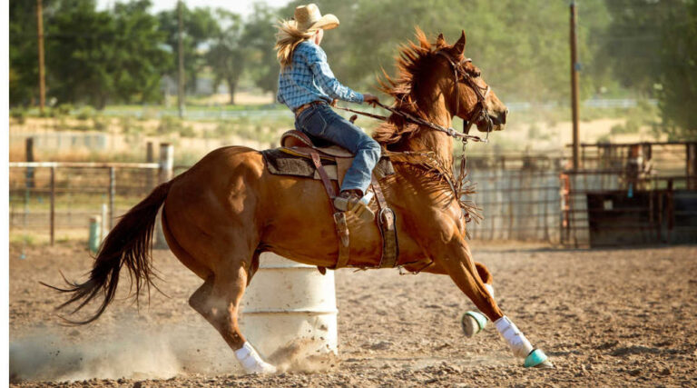 Horse Training