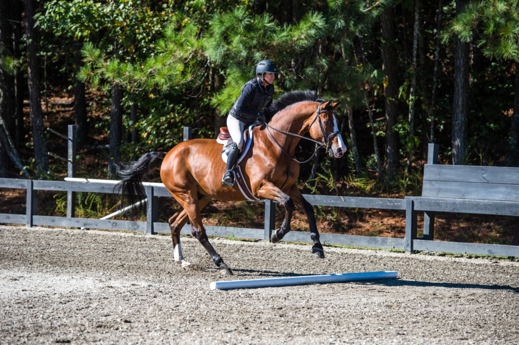 Horse Training Mistakes to Avoid: Key Tips for Success