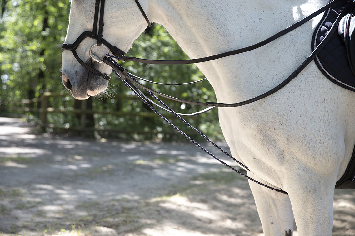 how to break a horse