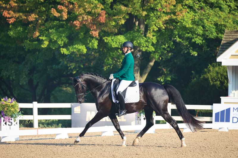 Correct Rider Position in Dressage