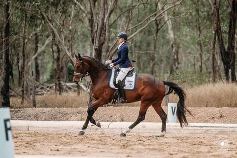dressage training green horse Dressage Training for a Green Horse