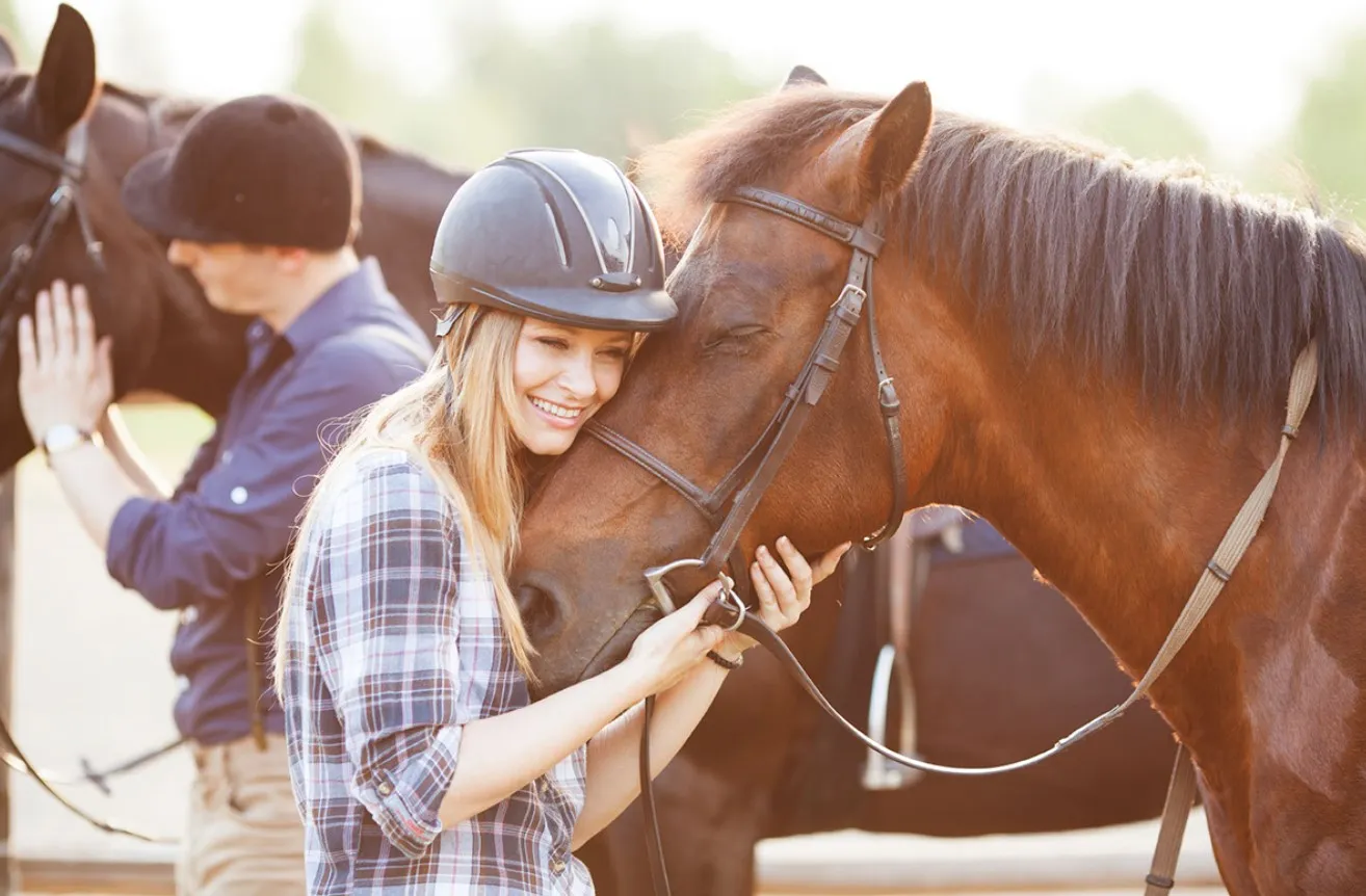 How Horses Show Affection to Humans and Other Horses