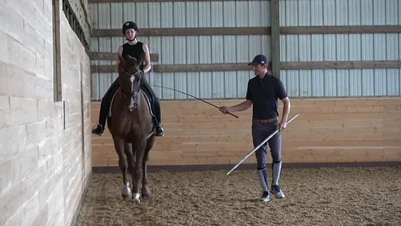 haunches-in dressage training Haunches-In Dressage Training Explained