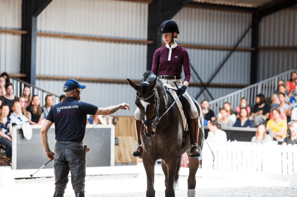 how to ride correct dressage transitions How to Ride Correct Dressage Transitions