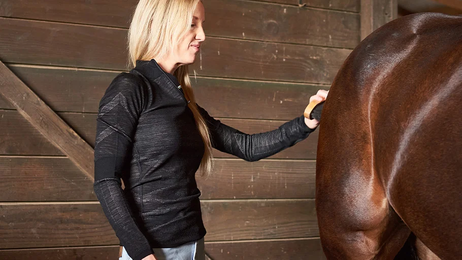 horse grooming mane care Horse Grooming Mane Care Tips for Healthy Hair