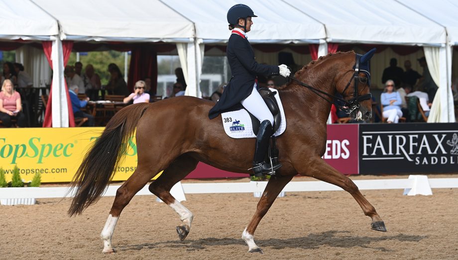 Correcting Rhythm Issues in Dressage
