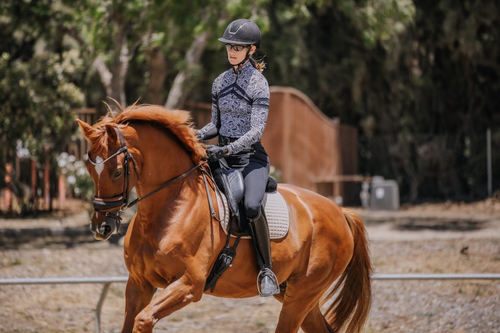 Cross-Training for Dressage Horses