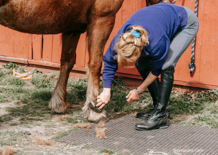 horse grooming mane comb guide Horse Grooming Mane Comb Guide for Tangle-Free Hair