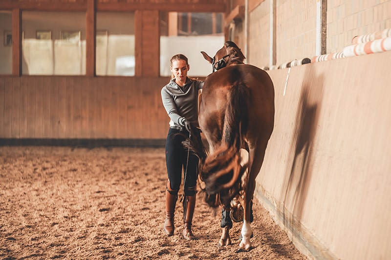 How Horses Learn Dressage Movements