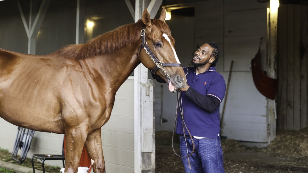 how often should you groom a horse How Often Should You Groom a Horse? Expert Advice