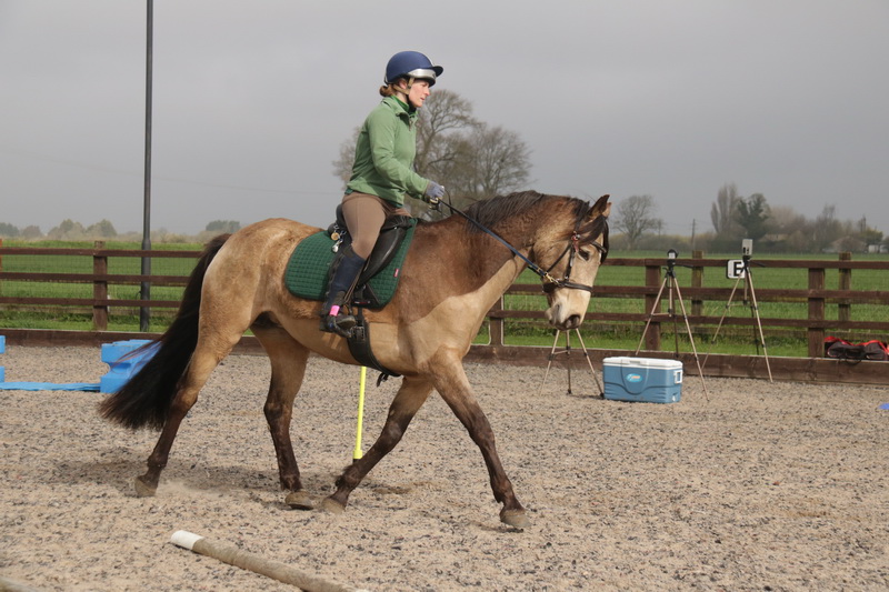 Improving Feel in Dressage Riding