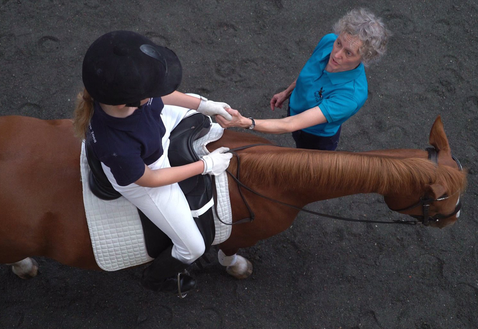 Preparing a Horse Mentally for Dressage