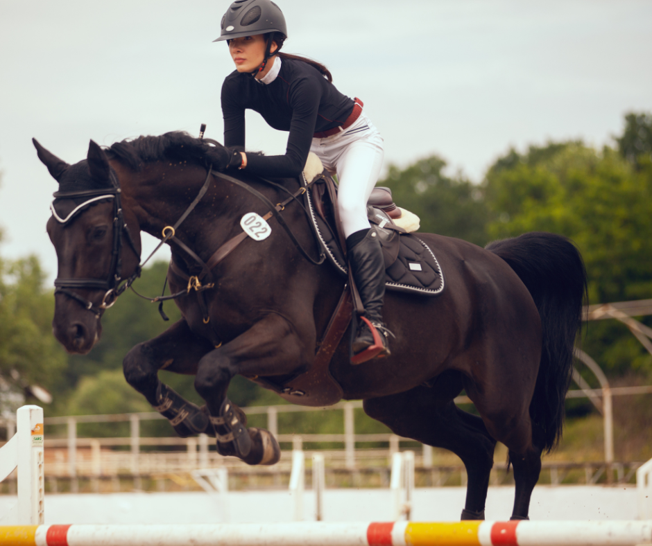 collection vs extension in dressage Collection vs Extension in Dressage