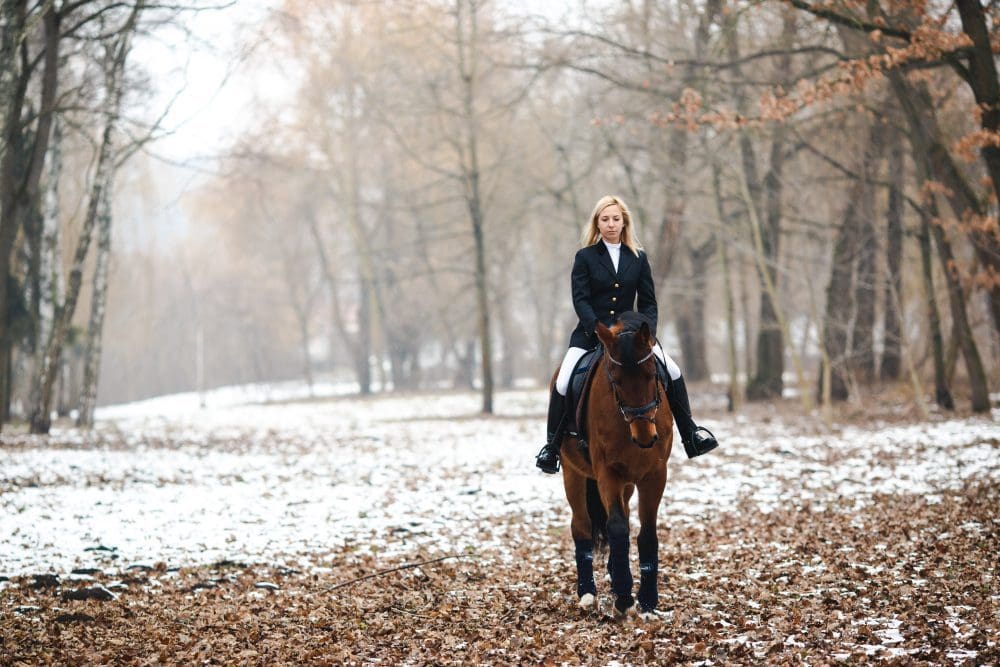 Correct Contact in Dressage Riding