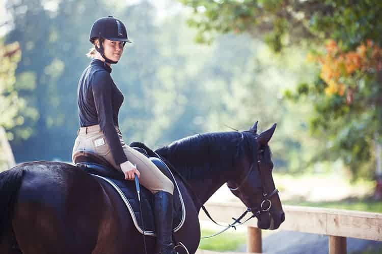 difference between uk and us riding standards Difference Between UK and US Riding Standards: A Comparison