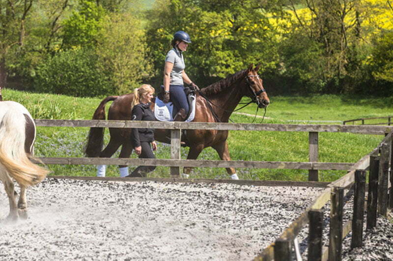 dressage arena letters explained Dressage Arena Letters Explained