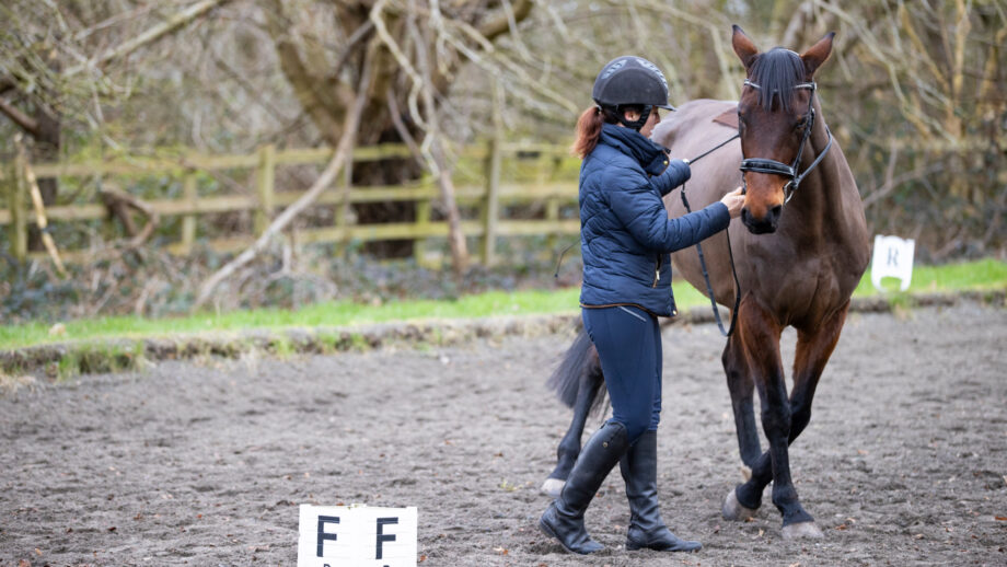 Dressage Training for Stiff Horses