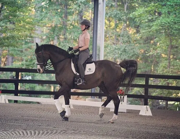 Dressage Training for Trail Horses