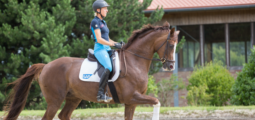 frame and outline in dressage Frame and Outline in Dressage Explained