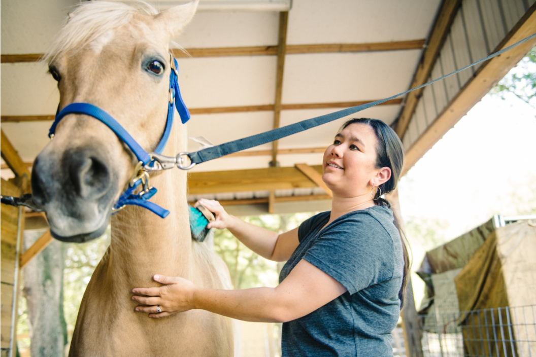 horse grooming before competition Horse Grooming Before Competition: Final Touches