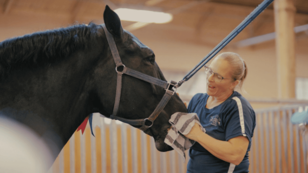 horse grooming for healthy skin Horse Grooming for Healthy Skin & Coat