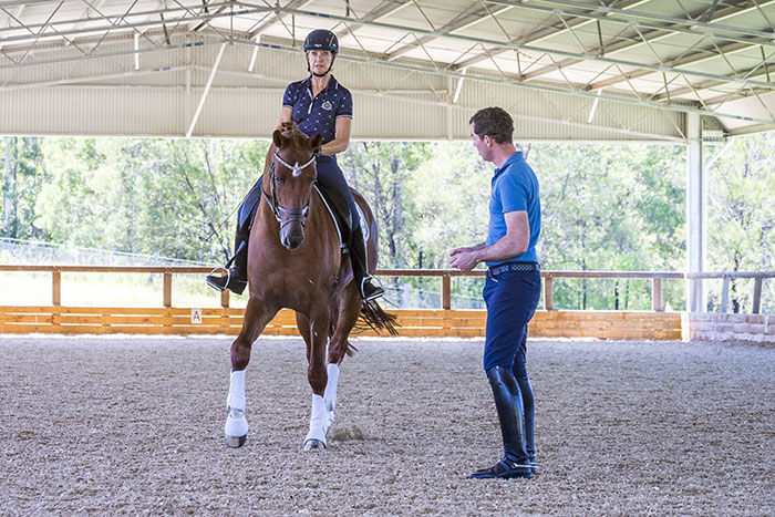 mental focus in dressage training Mental Focus in Dressage Training