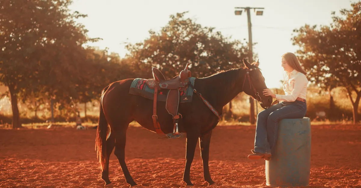 5 Best Horse Saddle Pads for Every Riding Style