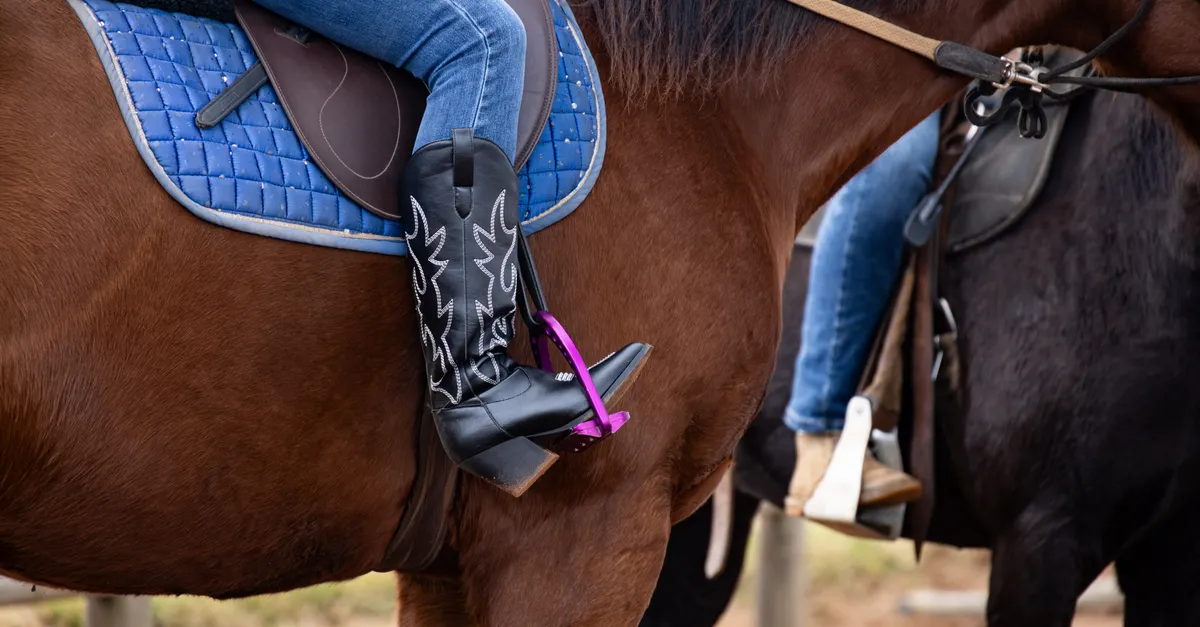 5 Best Horse Saddle Pads for Every Riding Style