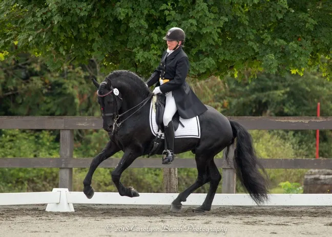 Best Riding Disciplines for Friesians: Dressage to Pleasure