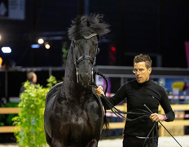 Friesian Horse Trail Riding: Tips for Safe Outdoor Adventures