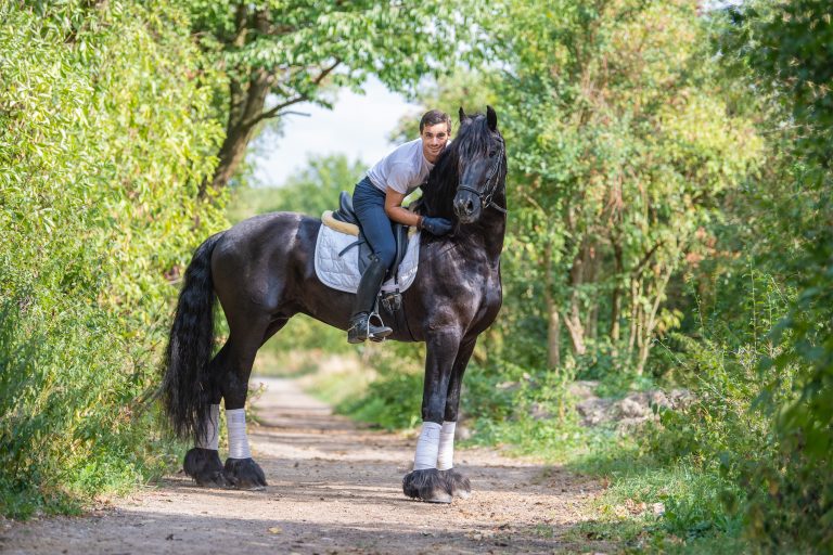 Horse Breed Comparison Guide: Find Your Perfect Equine Match