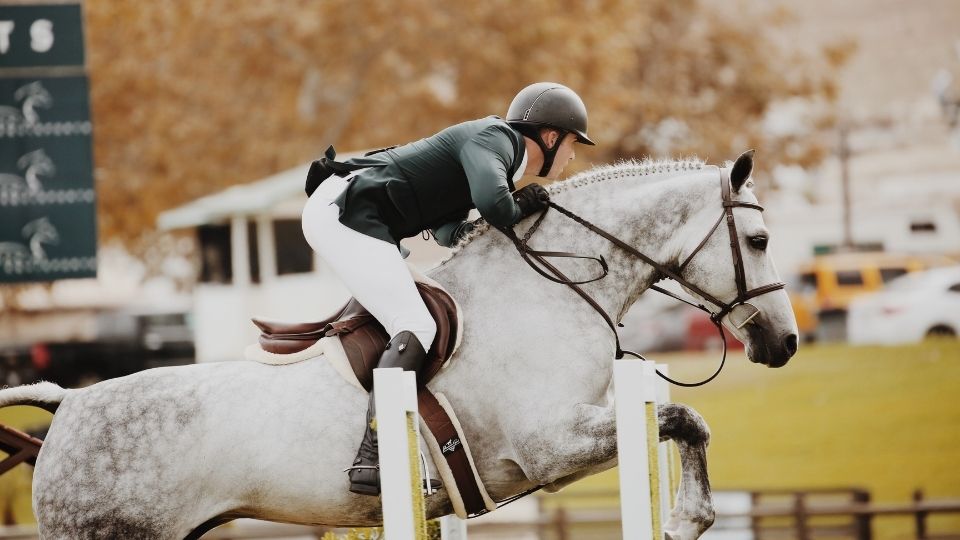 Riding Helmet Shape Guide: Understanding Oval vs Round Fits